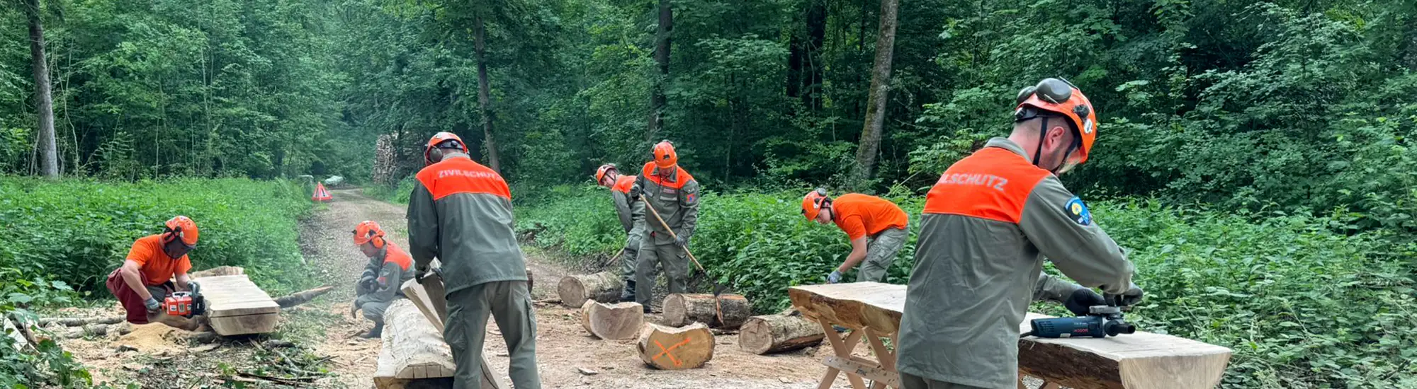 Zivilschutzangehörige bei Holzerarbeiten im Wald im Oberen Fricktal